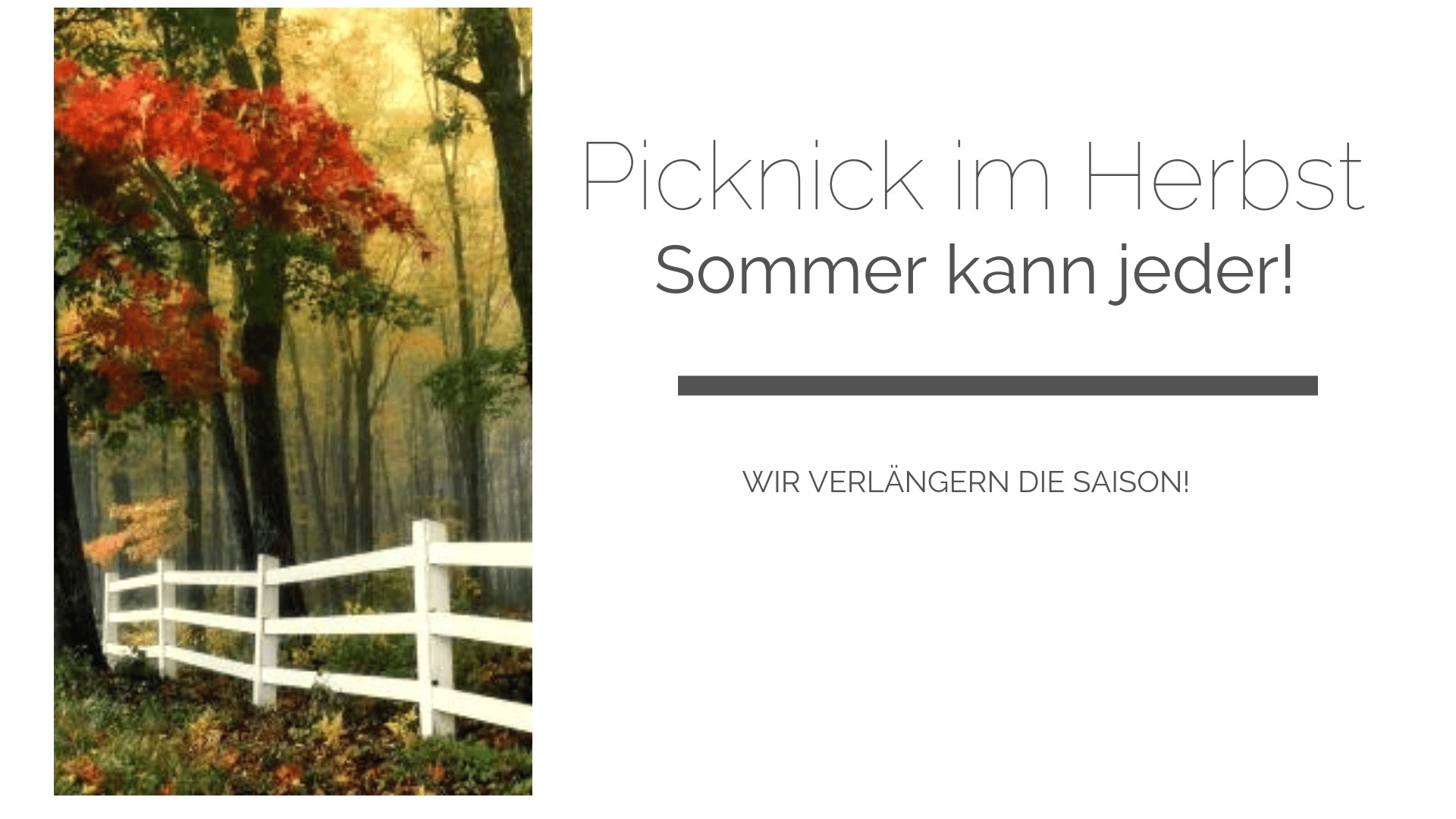 Picknicken im Herbst: die besten Plätze, Ausstattung und Proviant