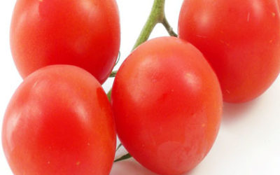 Mallorquinische Tapas – Grundrezept für Tomatensauce