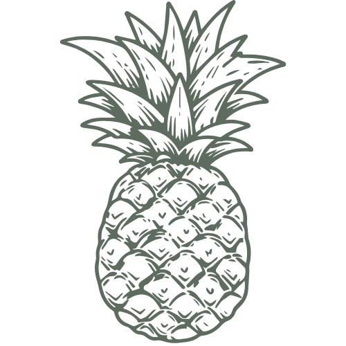 Die Ananas