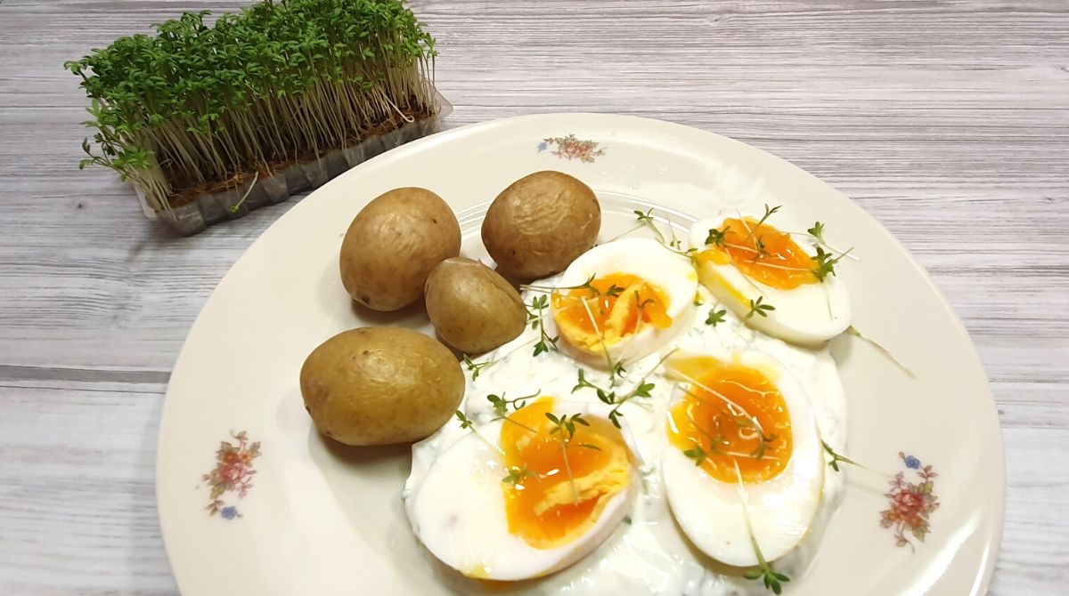Ei mit Käuterquark und Pellkartoffeln