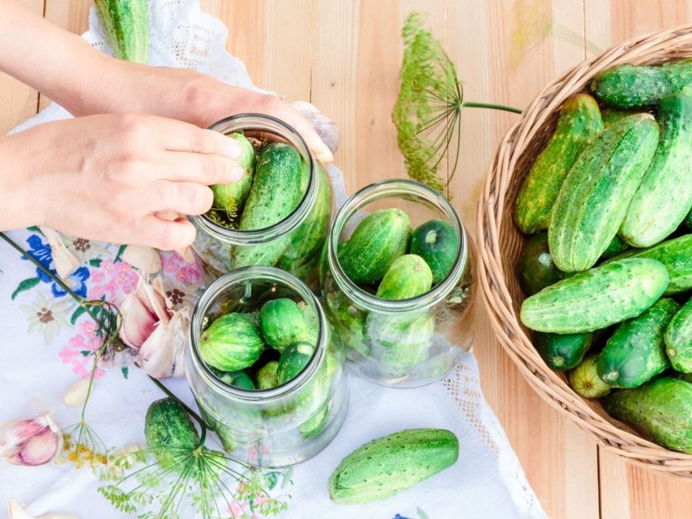 Essiggurken Rezept - Rezepte | Kochrezepte | Kochen im Alltag | GeLeSi.de