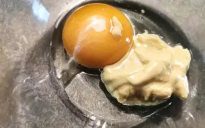 Mayonnaise selber machen mit Walnussöl