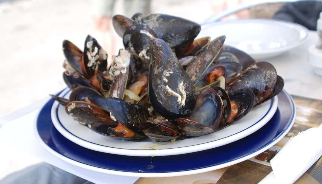 Miesmuscheln in Knoblauchsauce – Mejillones All i Oli