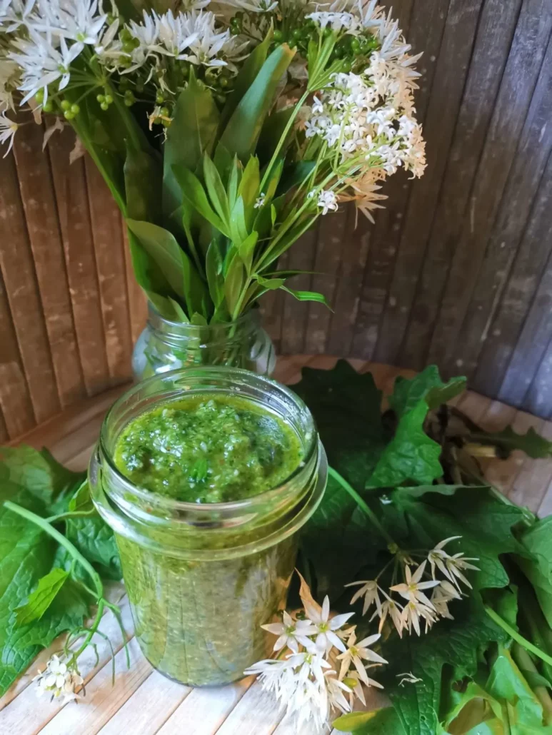 Wildkräuter Pesto Rezept