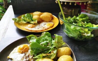 Spiegelei, Pellkartoffeln und knackiger Salat